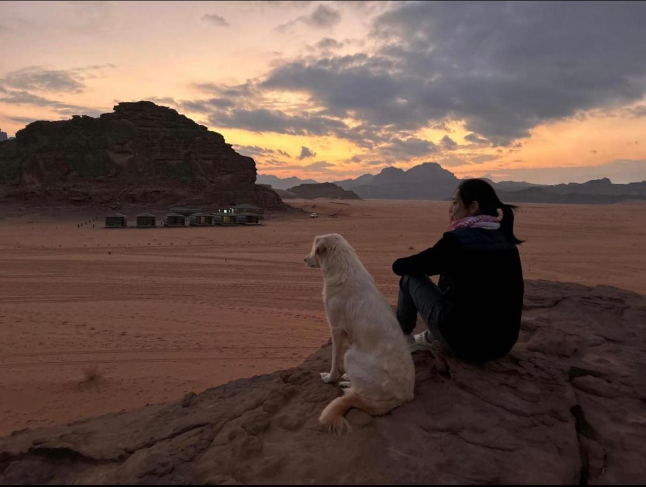 Luxury tent Wadi Magic Camp
