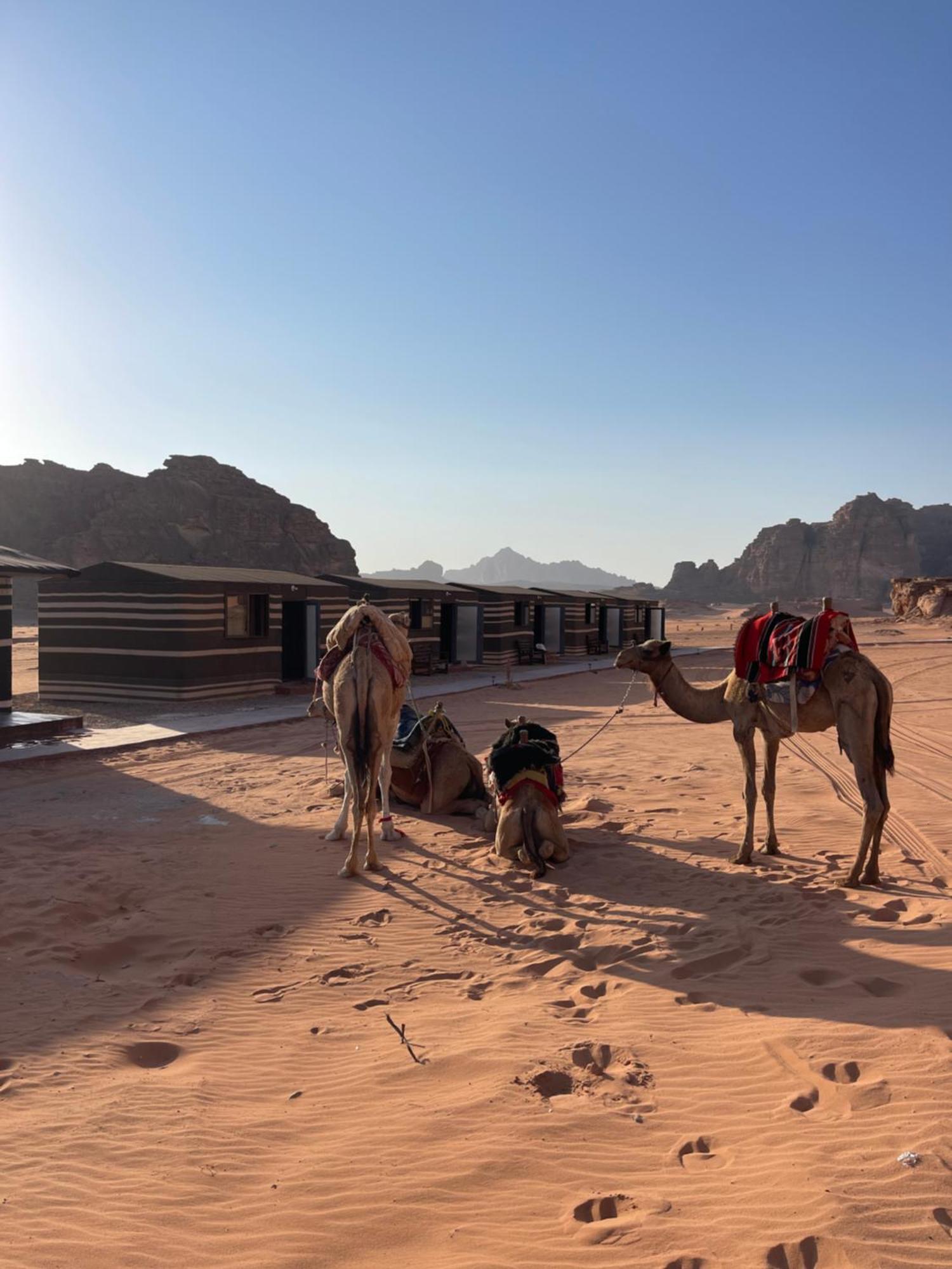 Wadi Magic Camp